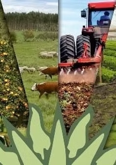 SECRETARIA DE DESARROLLO ECONOMICO Y FOM. AGROPECUARIO Y TURISMO