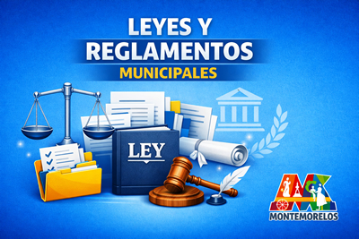 Reglamentación