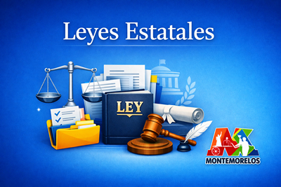 Leyes Estatales