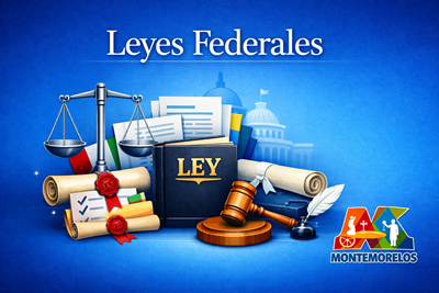 Leyes Federales